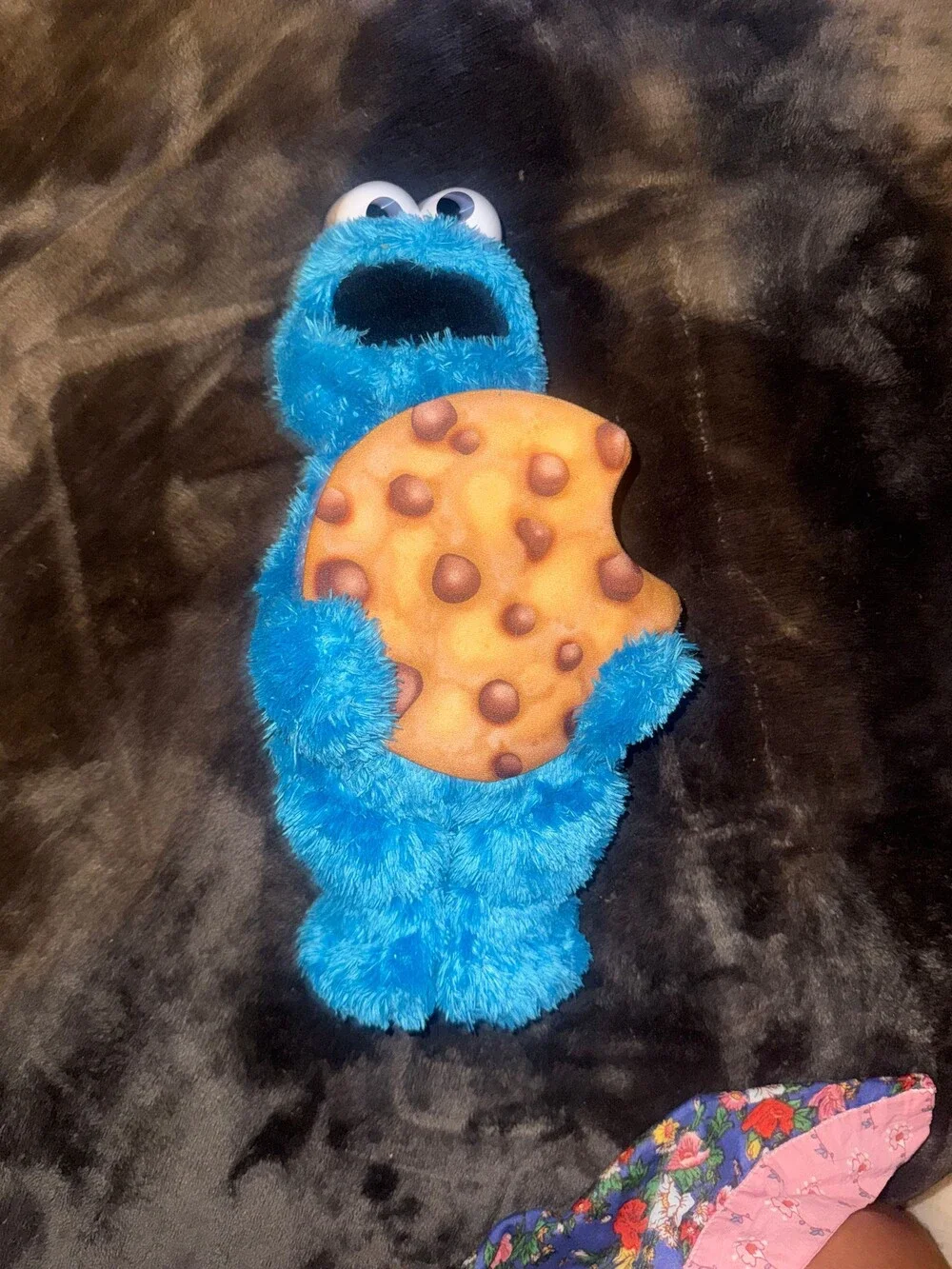 N/A cookie monster